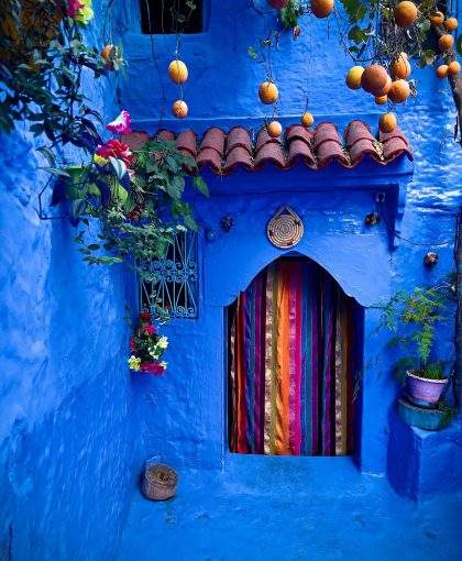 pexels-manel-cusido-433321678-15278958